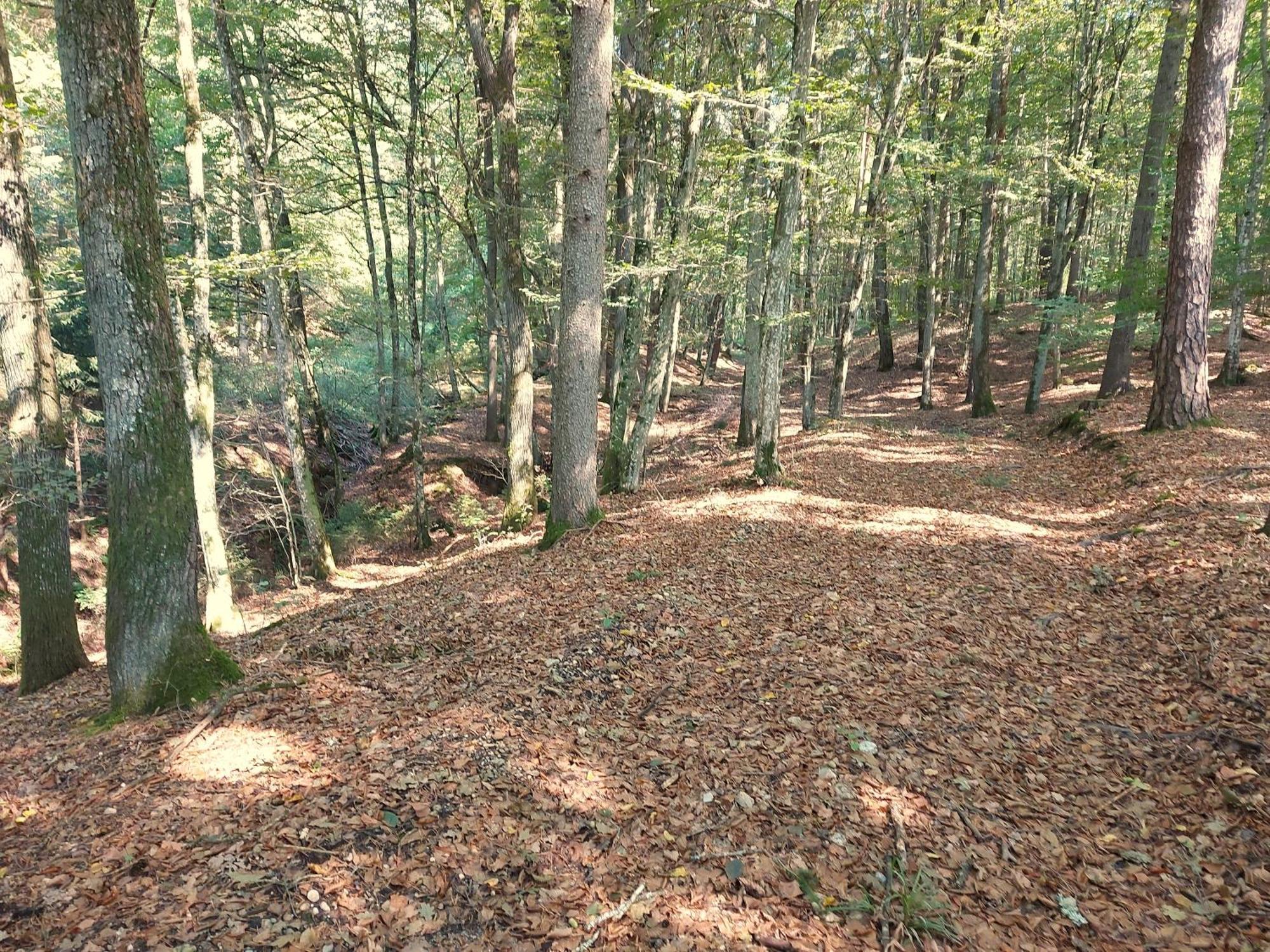 Landhaus Annmarie Limbach im Burgenland Екстериор снимка